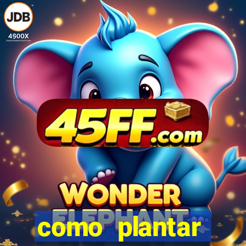 como plantar gergelim no vaso